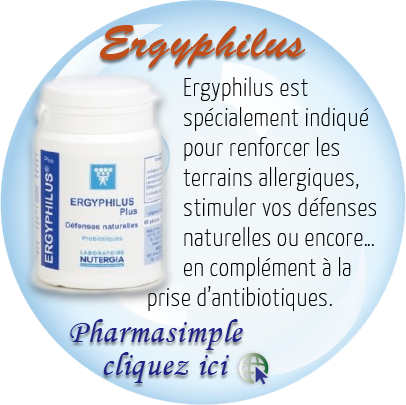 Ergyphilus