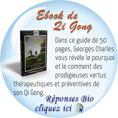 ebook-de-qi-gong-ad